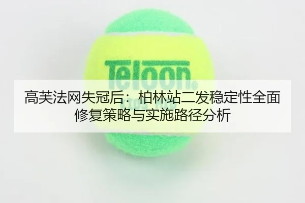 gao-fu-fa-wang-shi-guan-hou-bo-lin-zhan-er-fa-wen-ding-xing-quan-mian-xiu-fu-ce-lve-yu-shi-shi-lu-jing-fen-xi-2-282.jpg